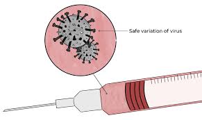 واکسن برای کرونا ویروس